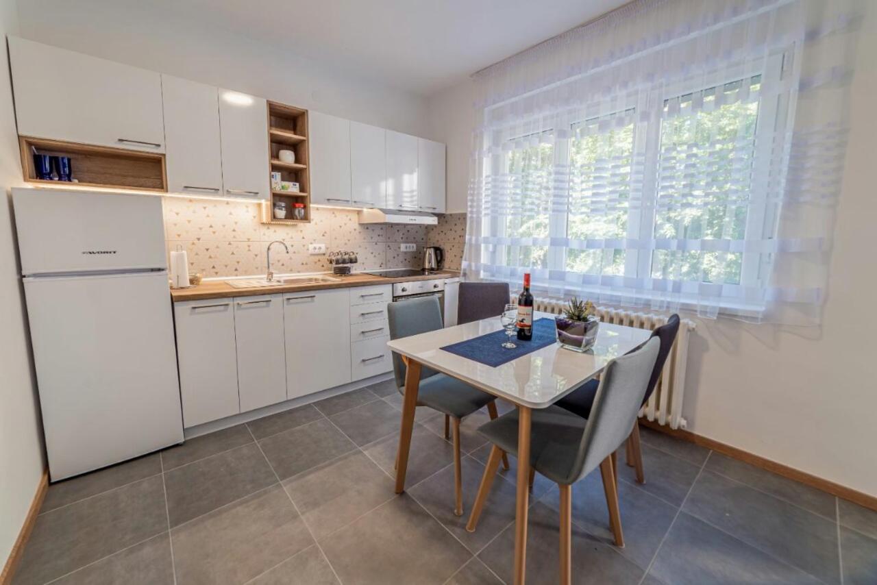 Apartman Danube Lux Nowy Sad Zewnętrze zdjęcie
